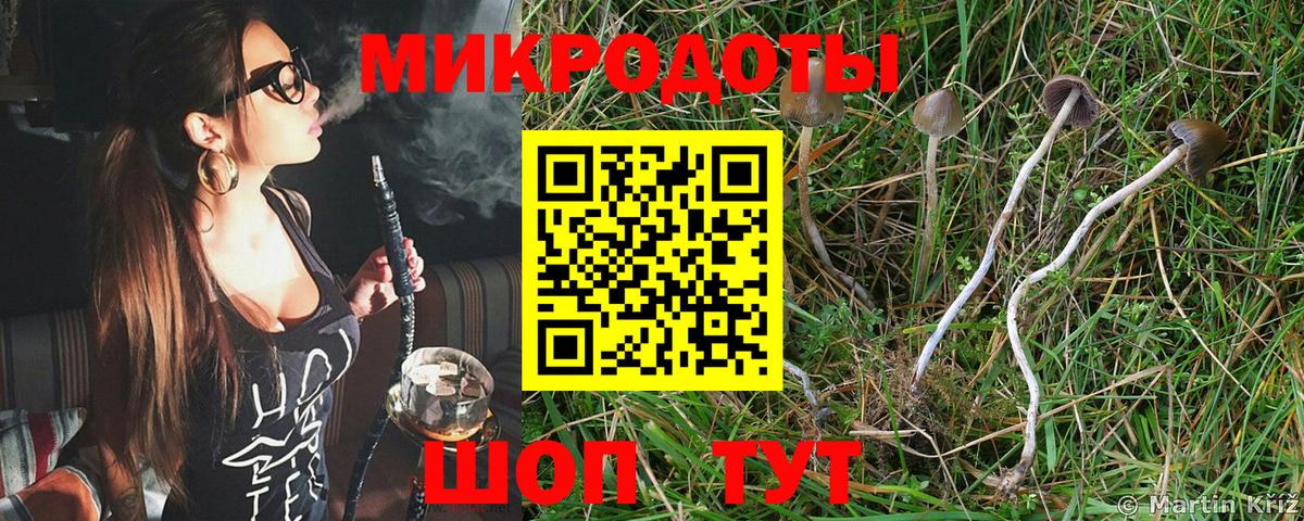 Псилоцибиновые грибы ЛСД Кирово-Чепецк